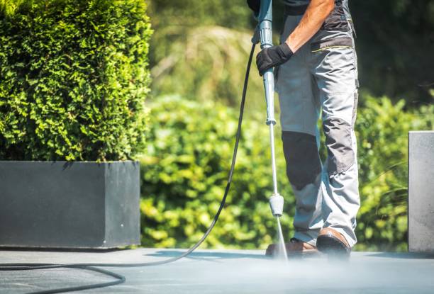 Best Animal Enclosure Cleaning  in Savannah, MO