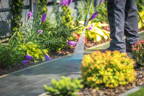 Best Restaurant Pressure Washing  in Savannah, MO